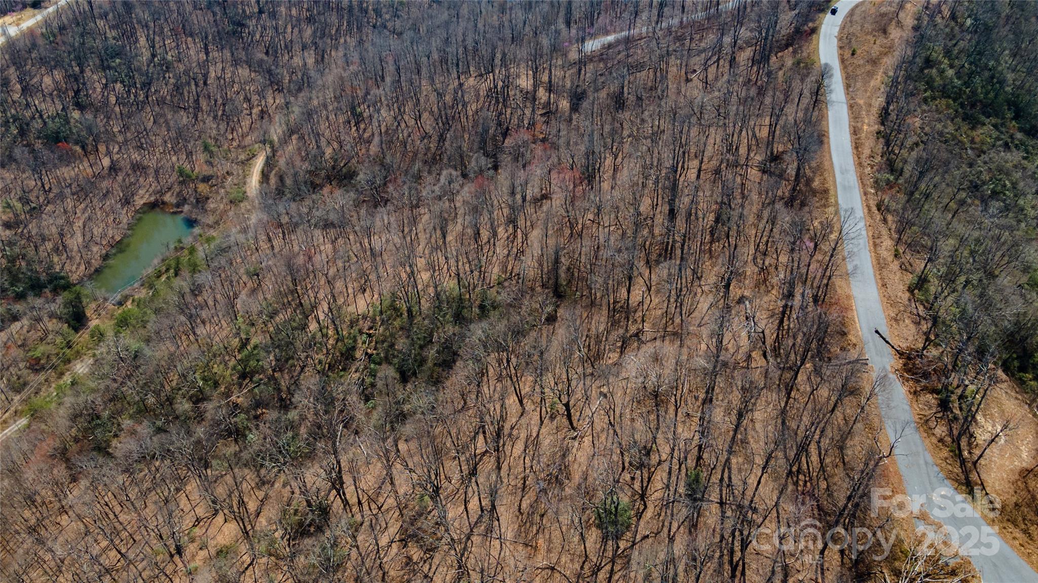 99 Devin Rdg Lane Union Mills, NC 28167 - Photo 10 of 18