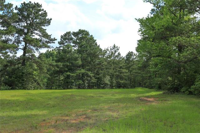 653 Ebenezer Cemetery Road Leesville, LA 71446 - Photo 27 of 30