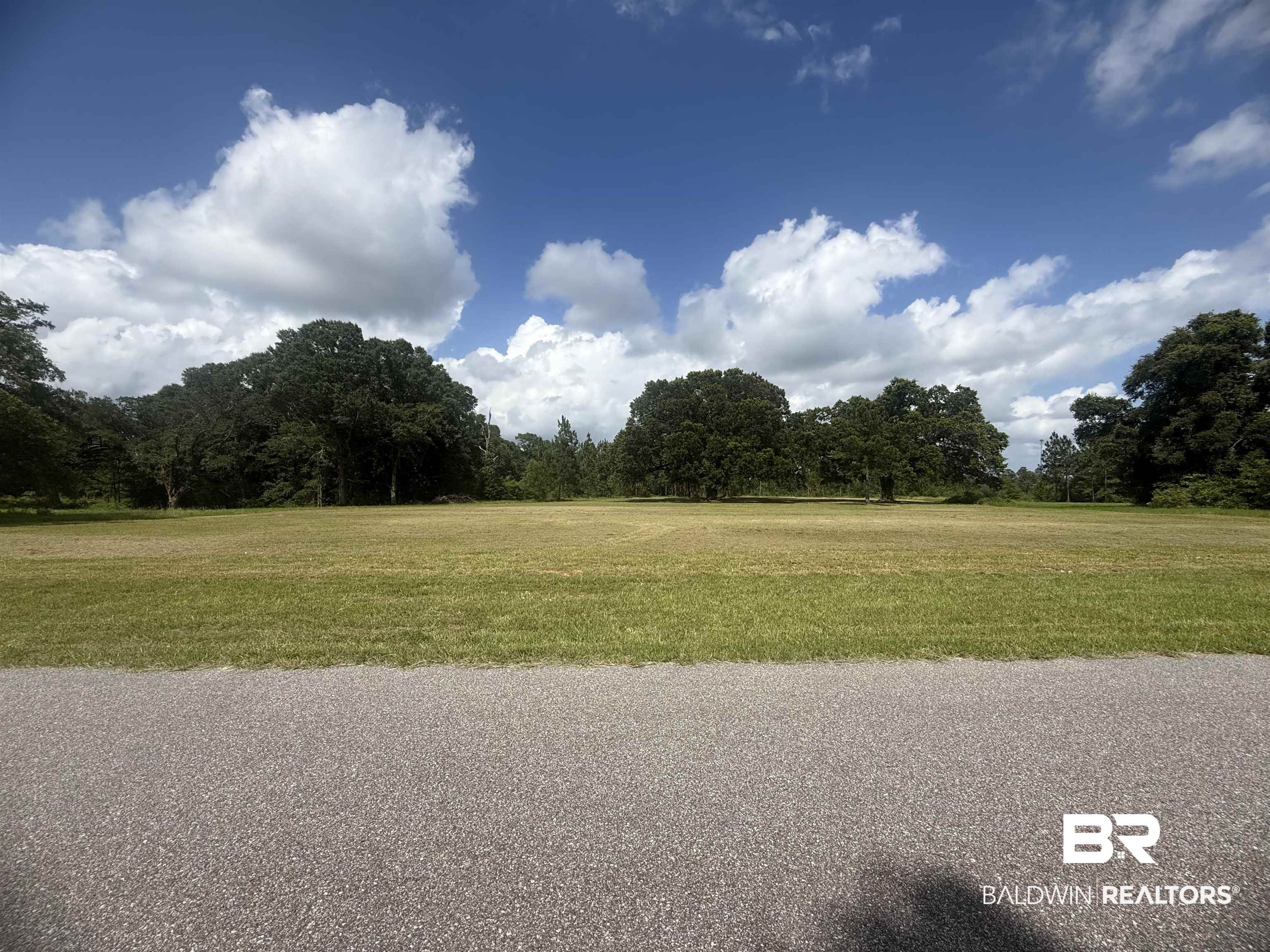 0 Hampton Road Mobile, AL 36608 - Photo 1 of 10