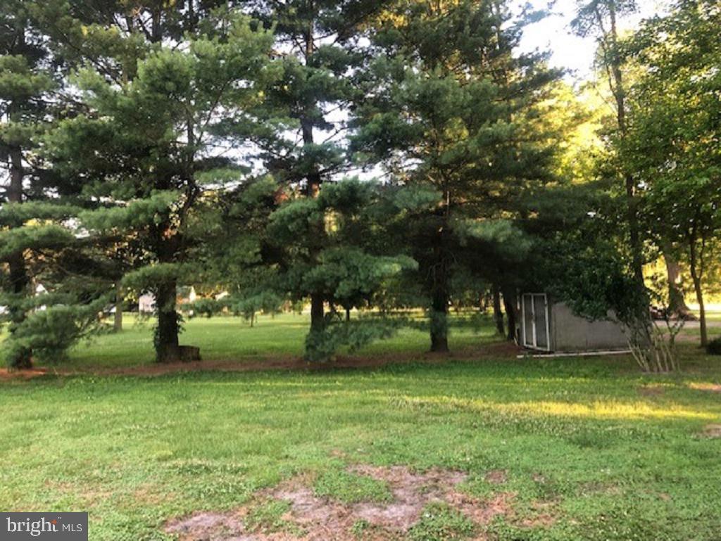 306 Walt Messick Road Harrington, DE 19952 - Photo 2 of 20 Peaceful back yard