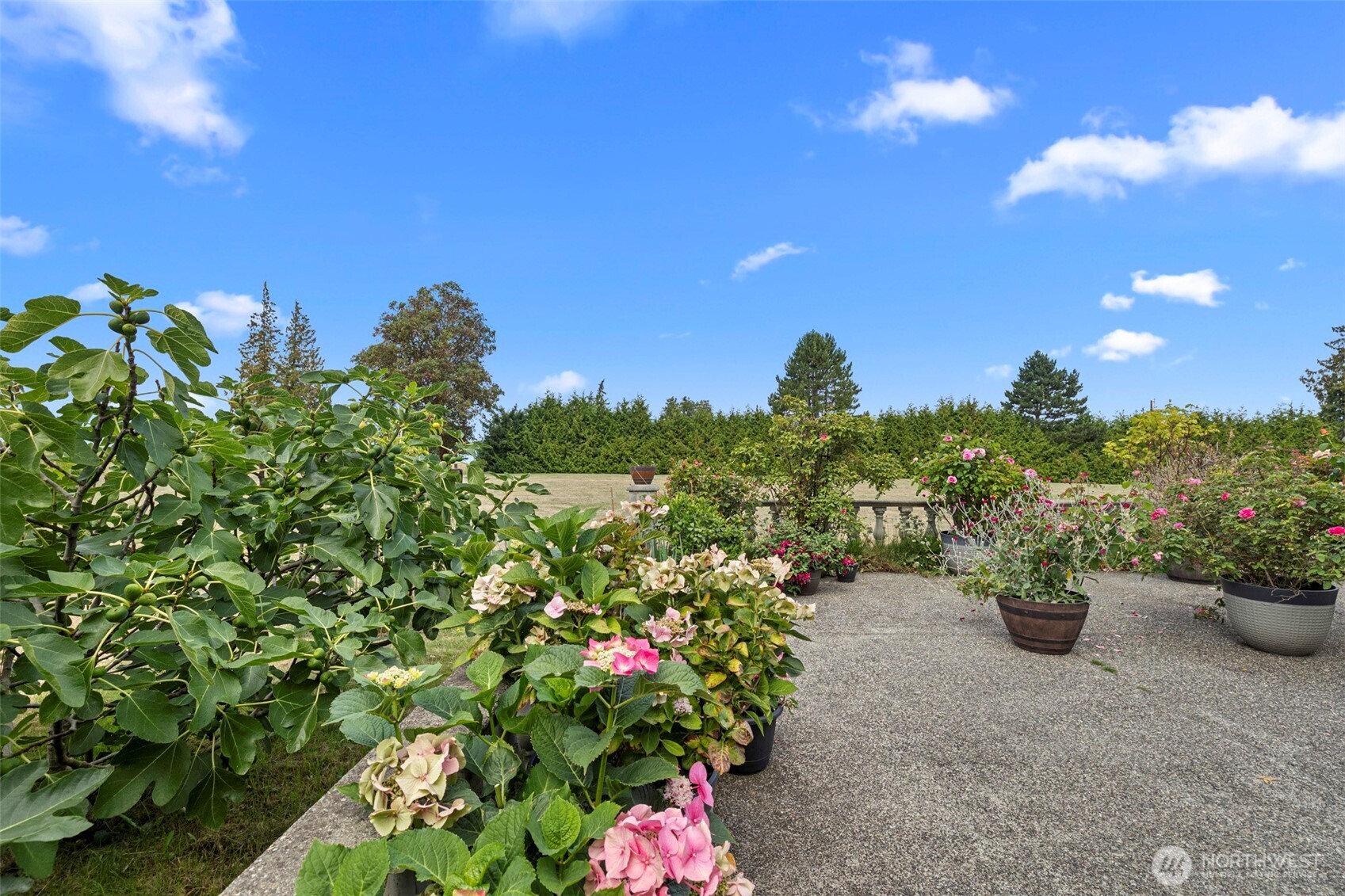 185 Chick Road Camano Island, WA 98282 - Photo 36 of 40 Gallery Image 36