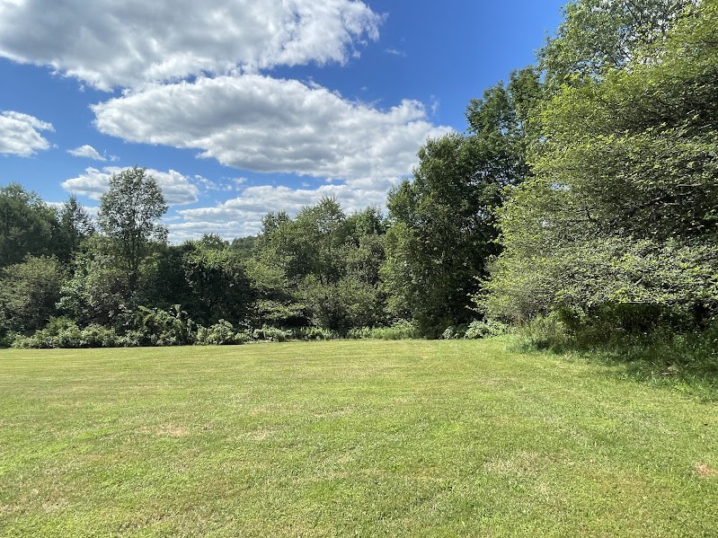 373 Dibble Road Harpersfield, NY 13788 - Photo 18 of 21