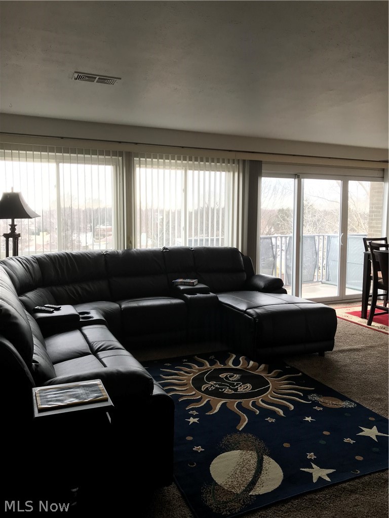 6640 Pearl Road, Unit 607 Cleveland, OH 44130 - Photo 2 of 11 Living room with full wall of glass and balcony out the sliders