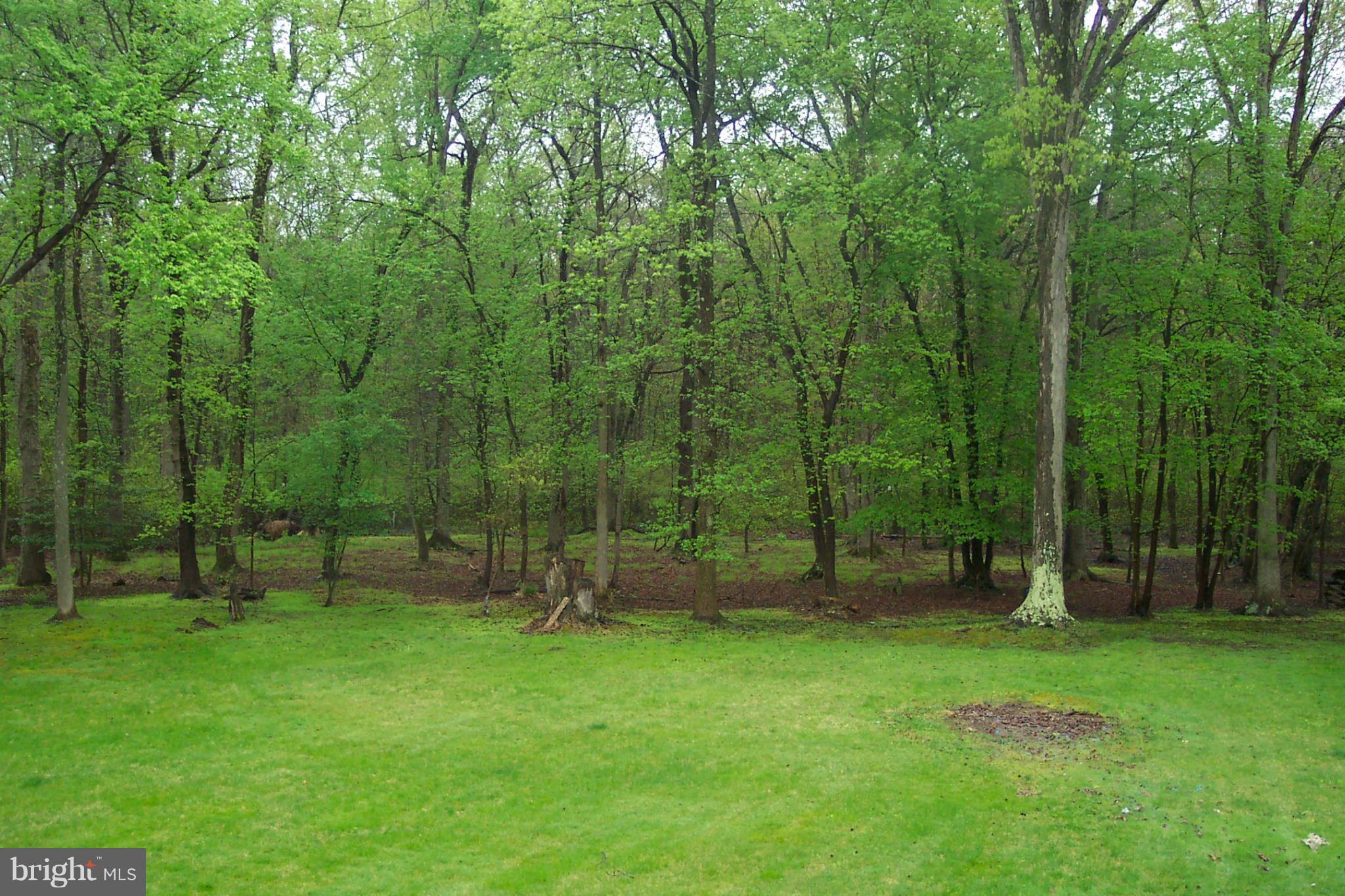 615 Sandy Hill Road Severn, MD 21144 - Photo 23 of 30 View