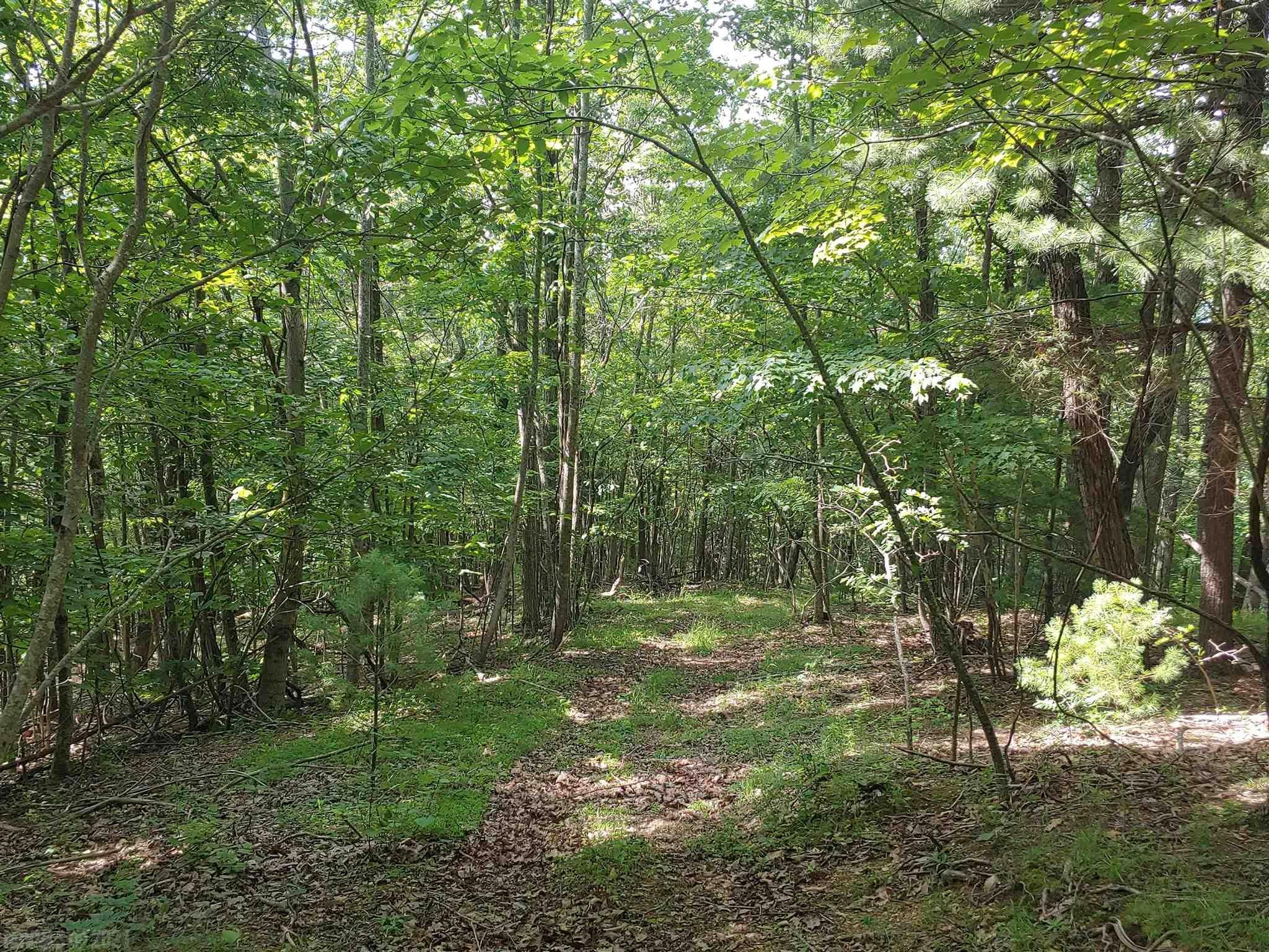 0 Fishers View Road Shawsville, VA 24162 - Photo 5 of 7 Gallery Image 5