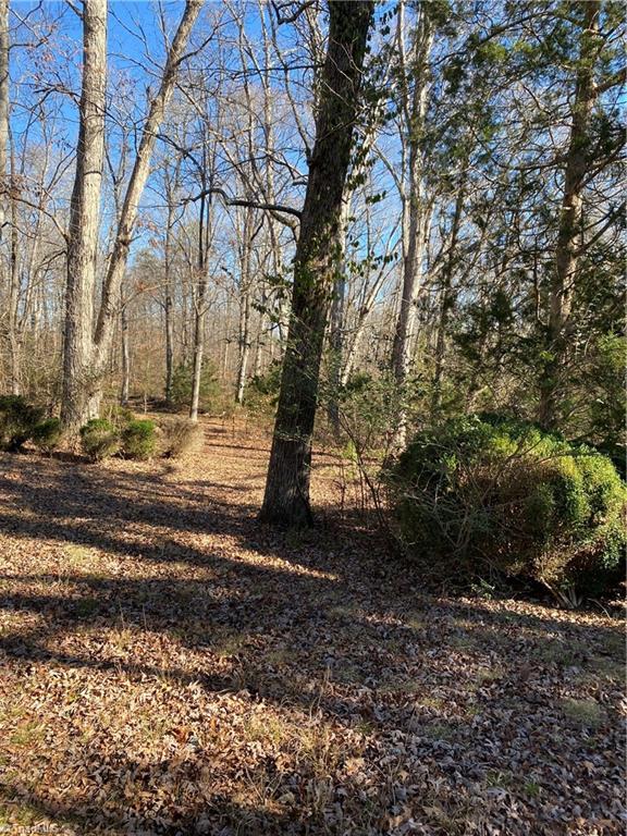 3660 Williams Road Lewisville, NC 27023 - Photo 21 of 30 Gallery Image 21