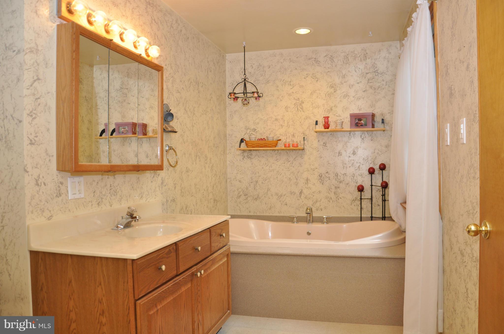 640 McKinneytown Road Elkton, MD 21921 - Photo 18 of 30 Bath (Master)