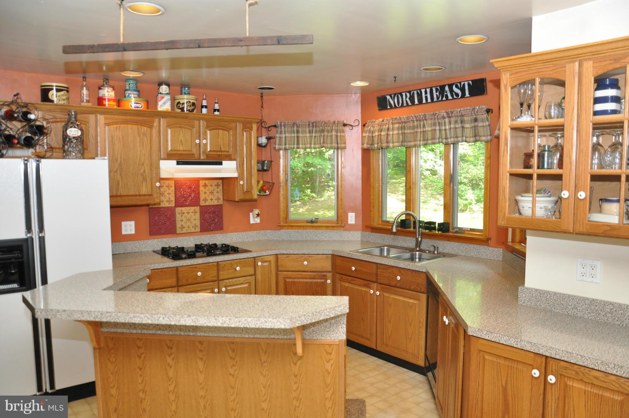 640 McKinneytown Road Elkton, MD 21921 - Photo 9 of 30 Kitchen