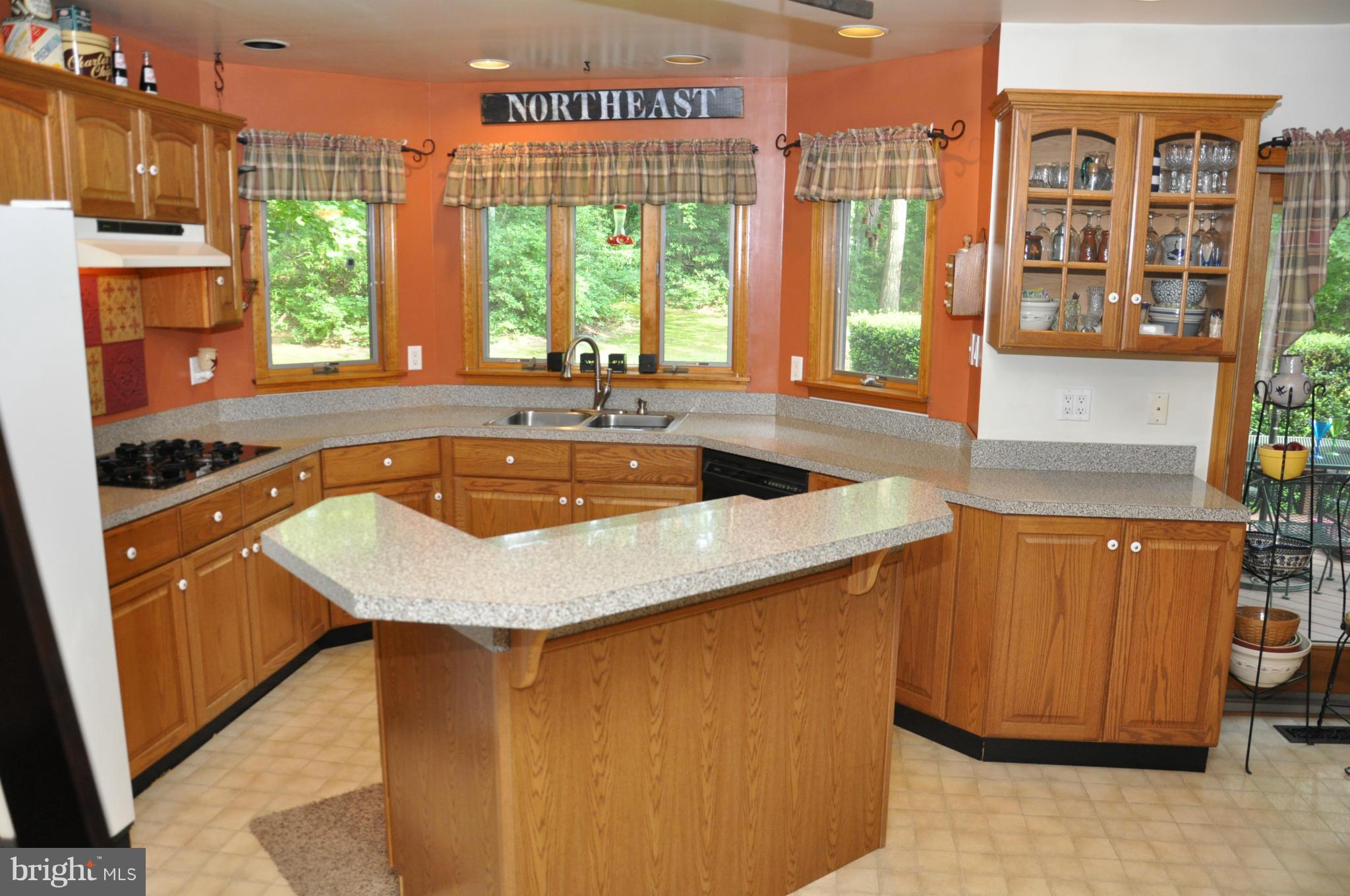 640 McKinneytown Road Elkton, MD 21921 - Photo 10 of 30 Kitchen