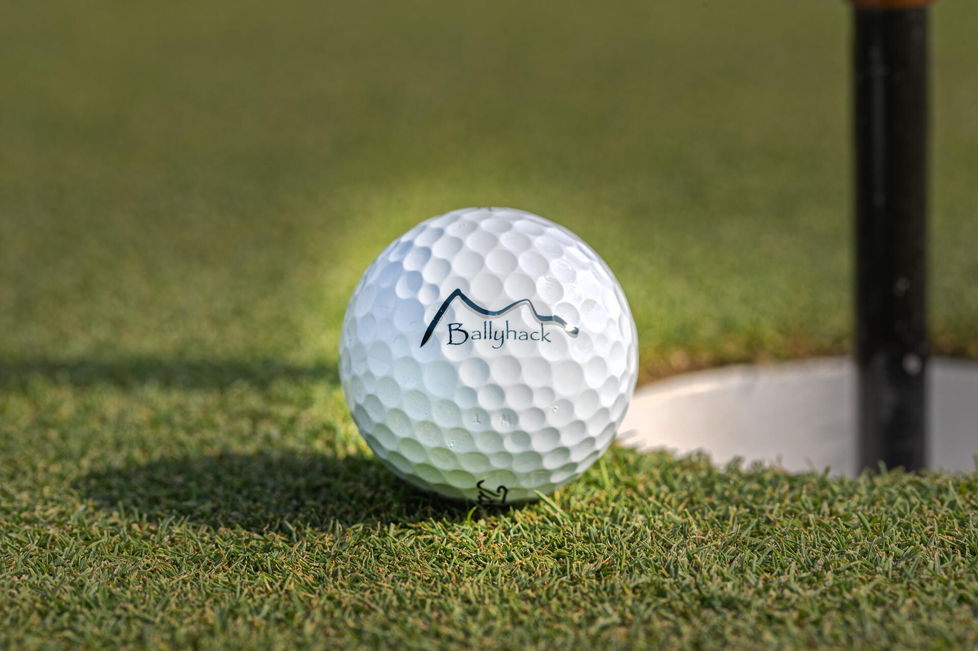 3559 Ballyhack Trail Roanoke, VA 24014 - Photo 31 of 60 30