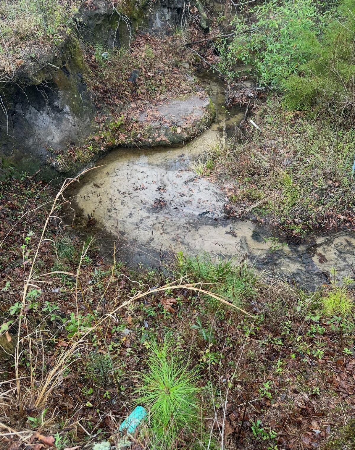 2984 B Goodman Hill Road Chipley, FL 32428 - Photo 13 of 14 a view of a plant with a field