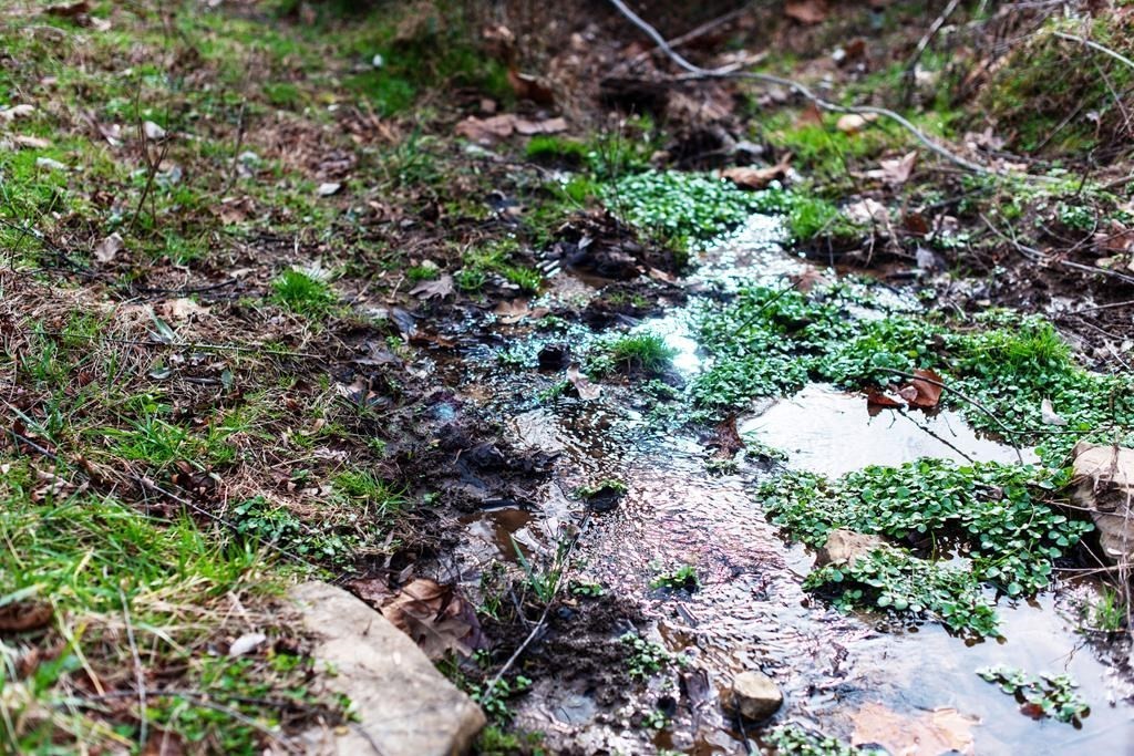 899 Messenger Road Sparta, TN 38583 - Photo 49 of 68