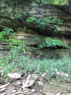 899 Messenger Road Sparta, TN 38583 - Photo 52 of 68