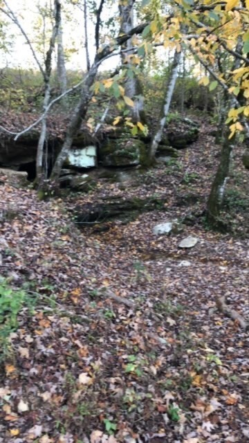 899 Messenger Road Sparta, TN 38583 - Photo 54 of 68