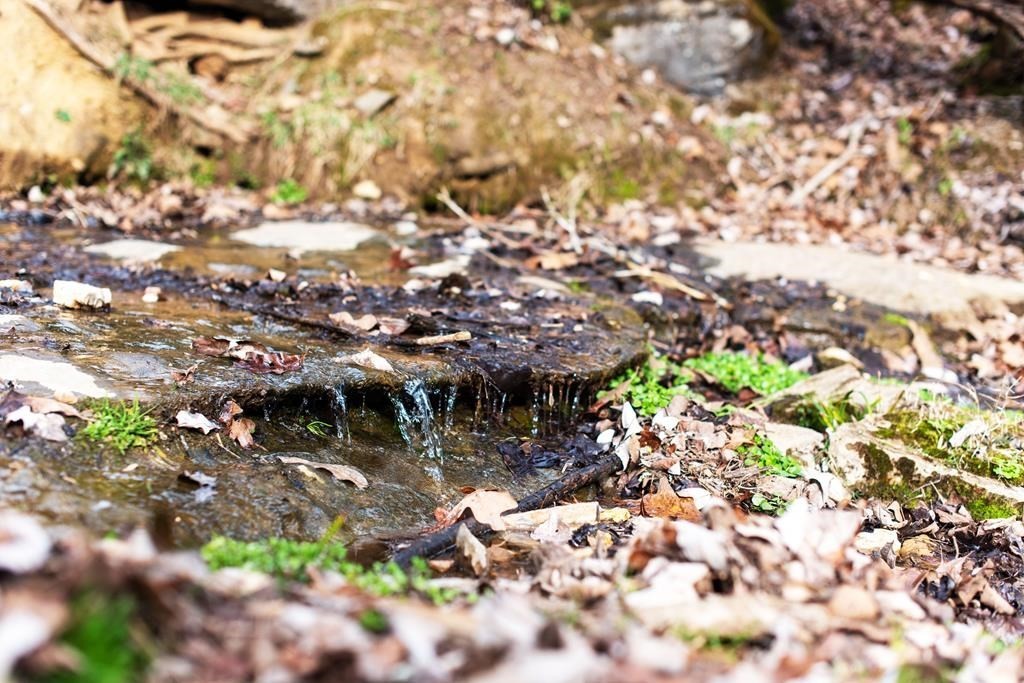 899 Messenger Road Sparta, TN 38583 - Photo 55 of 68