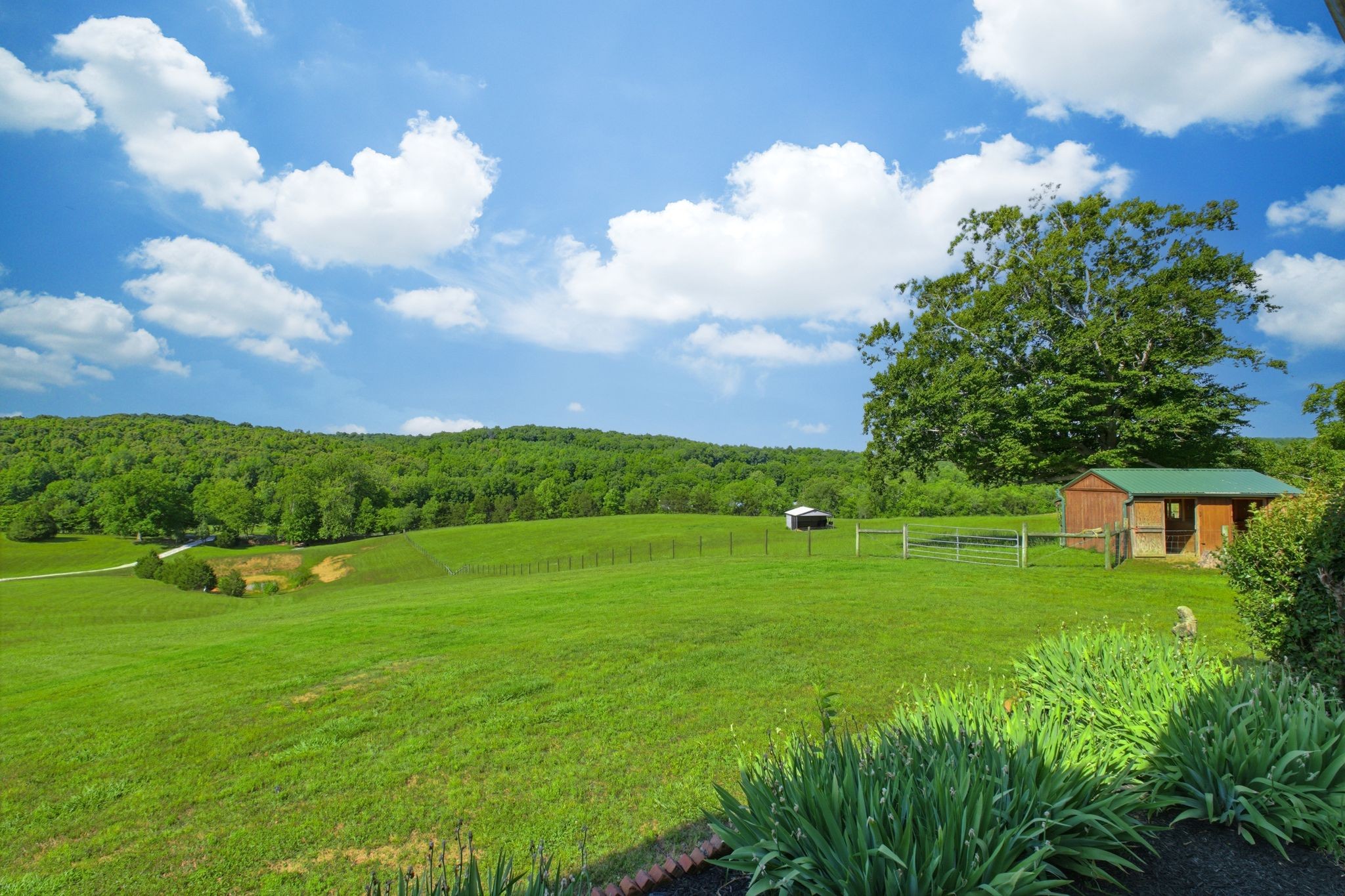 1732 Cedar Creek Road Vanleer, TN 37181 - Photo 11 of 95