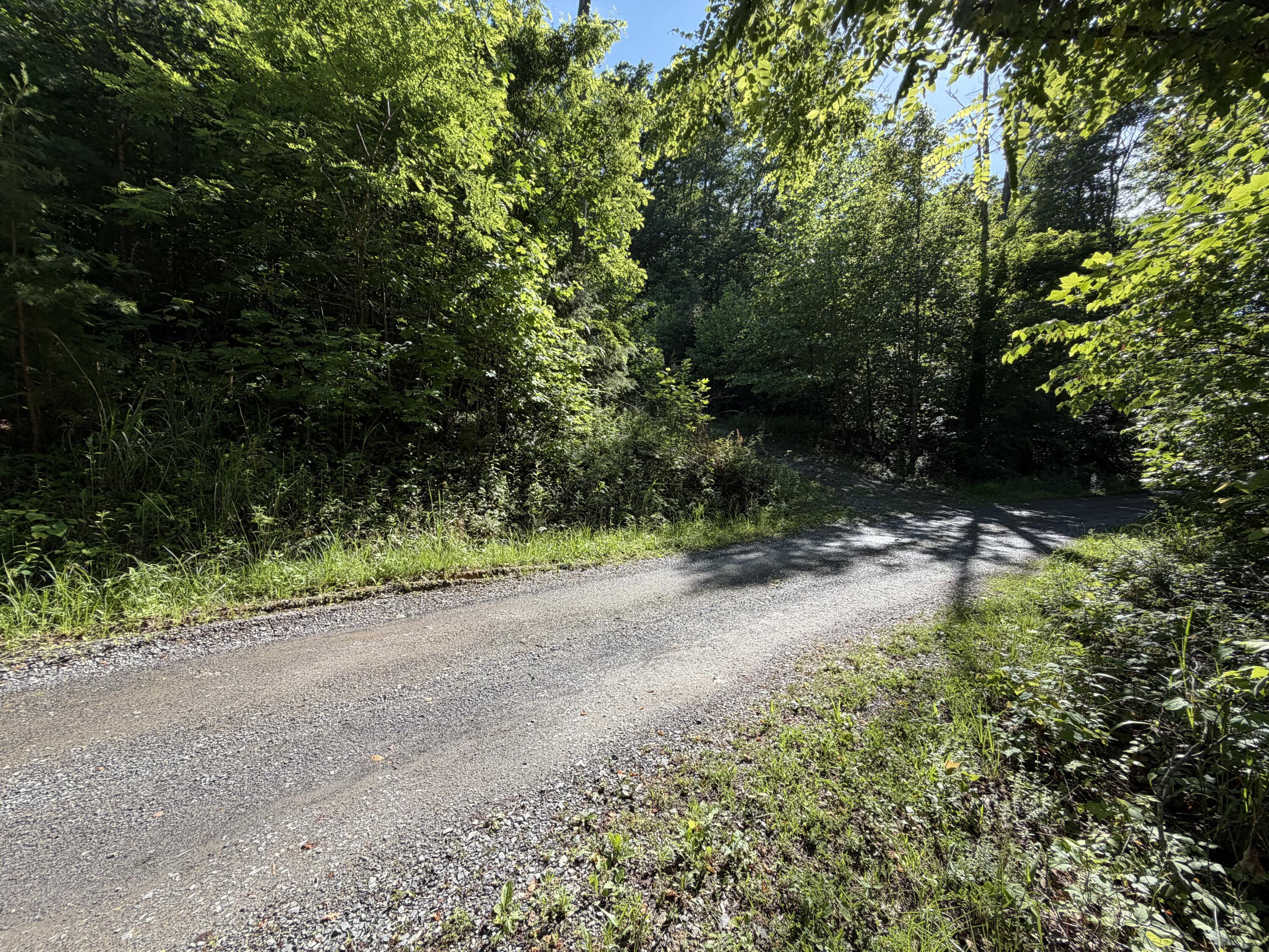 0 Lake Road Troutville, VA 24175 - Photo 1 of 18 a view of a yard with plants and trees