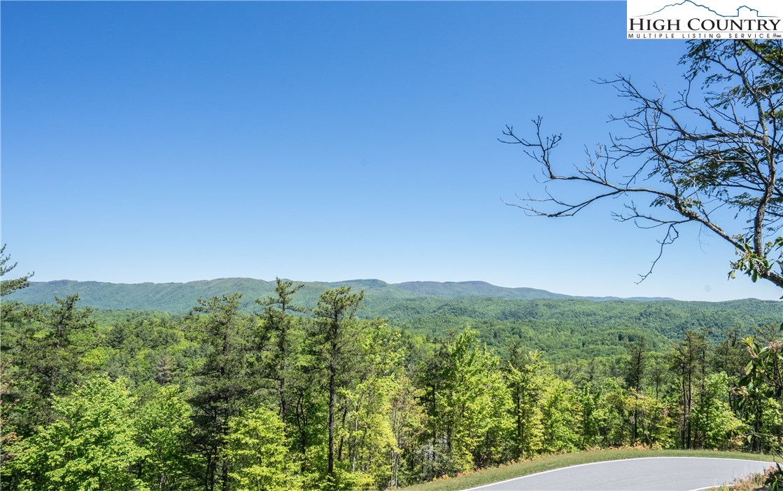 Lot 176 Marigold Roads Boone, NC 28607 - Photo 1 of 4 Gallery Image 1