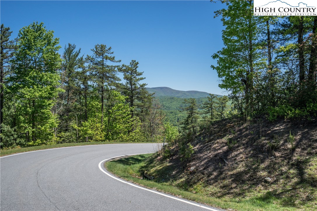 Lot 176 Marigold Roads Boone, NC 28607 - Photo 4 of 4 Gallery Image 4