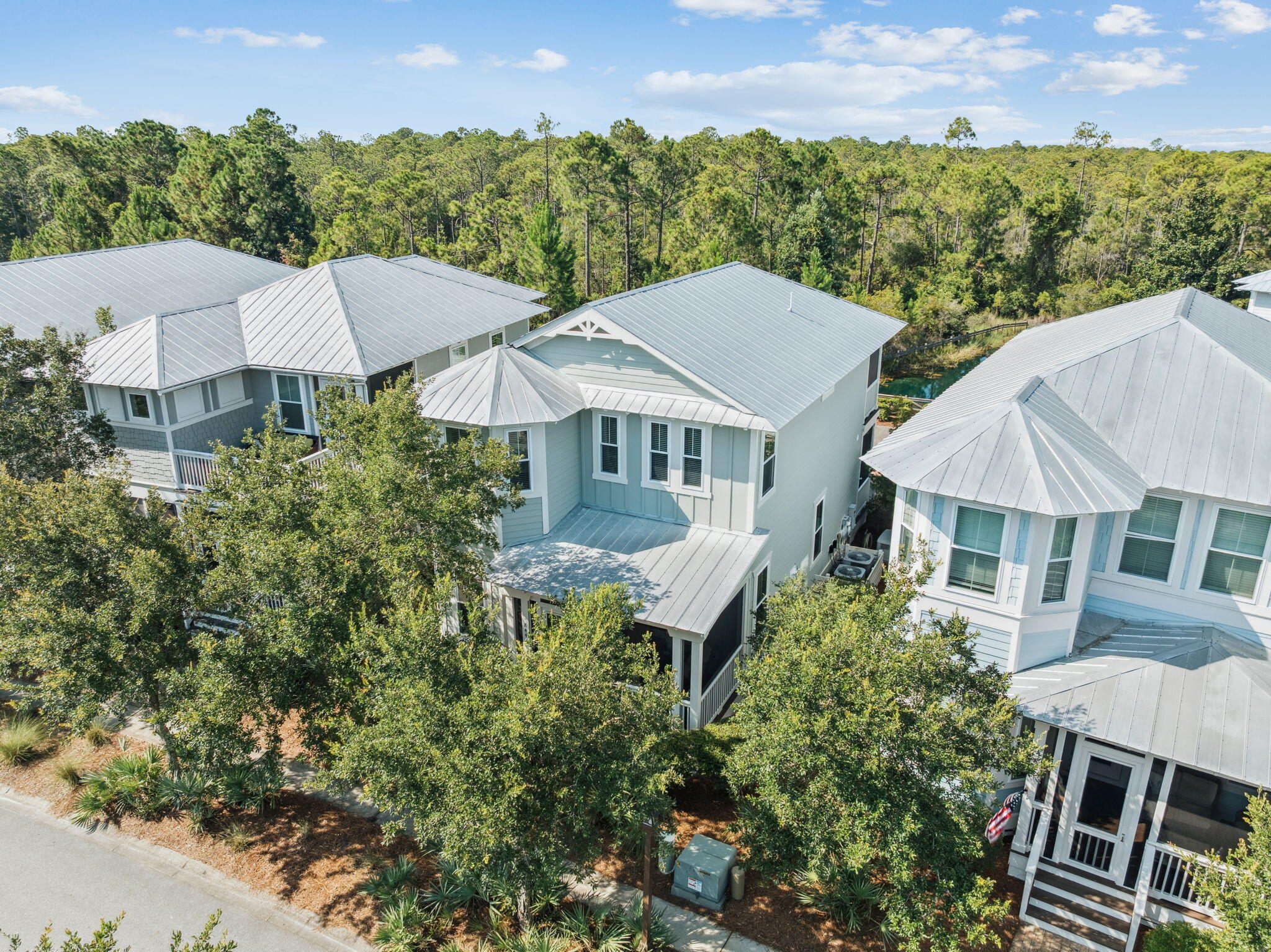 844 Sandgrass Boulevard Santa Rosa Beach, FL 32459 - Photo 64 of 74 Drone