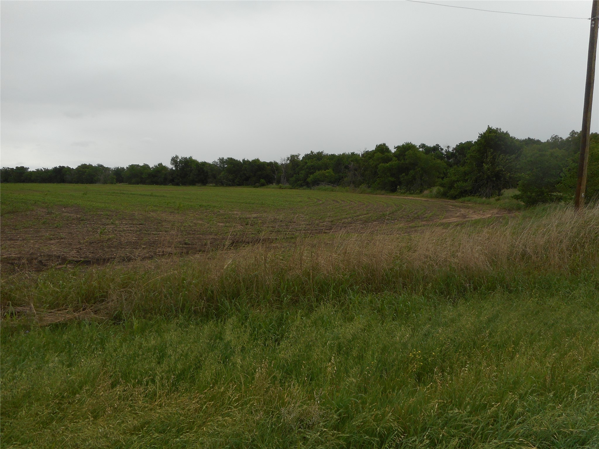 619 North Rd Taylor Tx 76574 Road Taylor, TX 76574 - Photo 12 of 15 Expansive field with a mix of green growth and tilled earth, bordered by a line of mature trees
