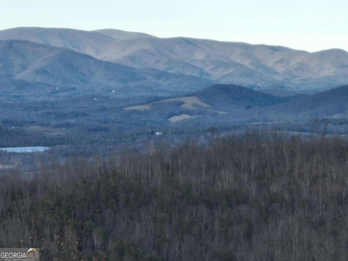 279 Andes Ridge Talking Rock, GA 30175 - Photo 22 of 37