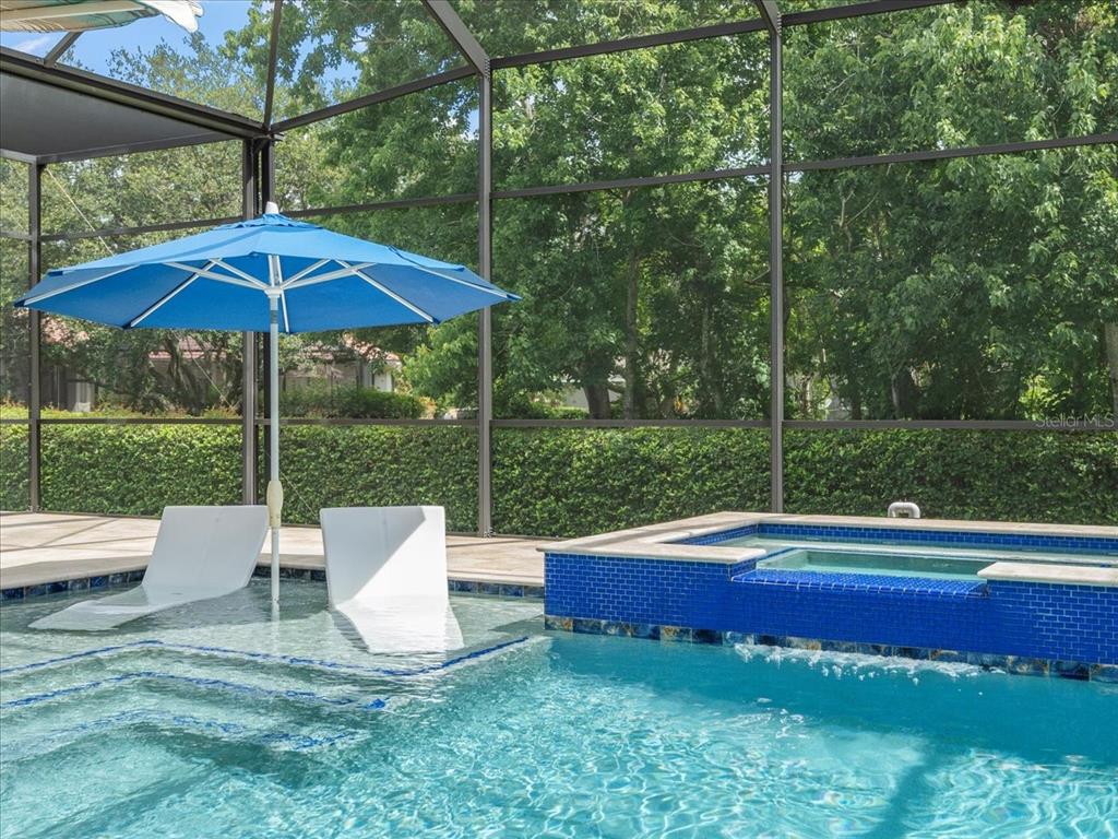 6905 Arabian Road Odessa, FL 33556 - Photo 6 of 38 Gallery Image 6