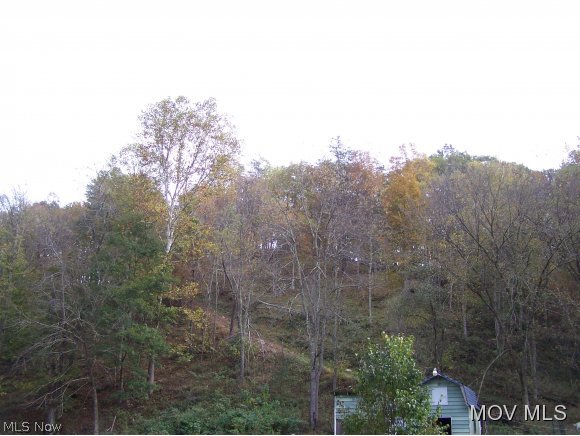 141 Canoe Run Road Looneyville, WV 25259 - Photo 14 of 18 Partial view wooded hillside