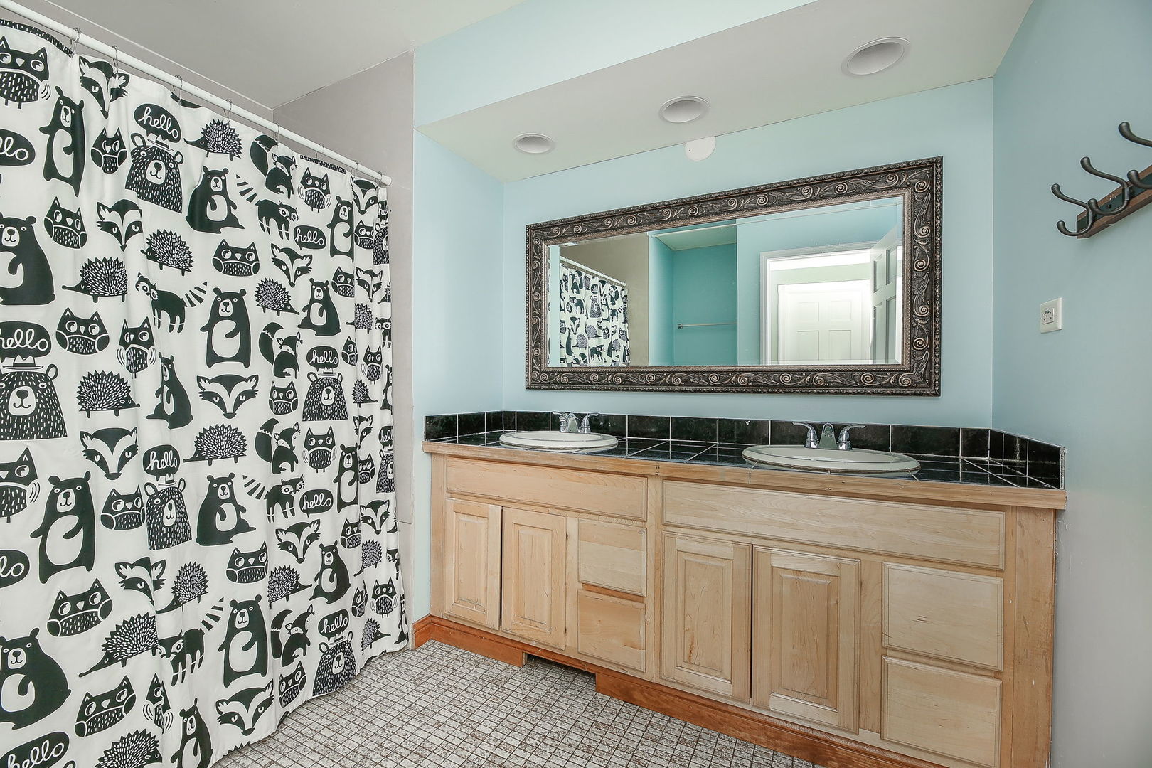 31W137 Rohrssen Road Hoffman Estates, IL 60192 - Photo 20 of 43 a bathroom with a sink and a mirror
