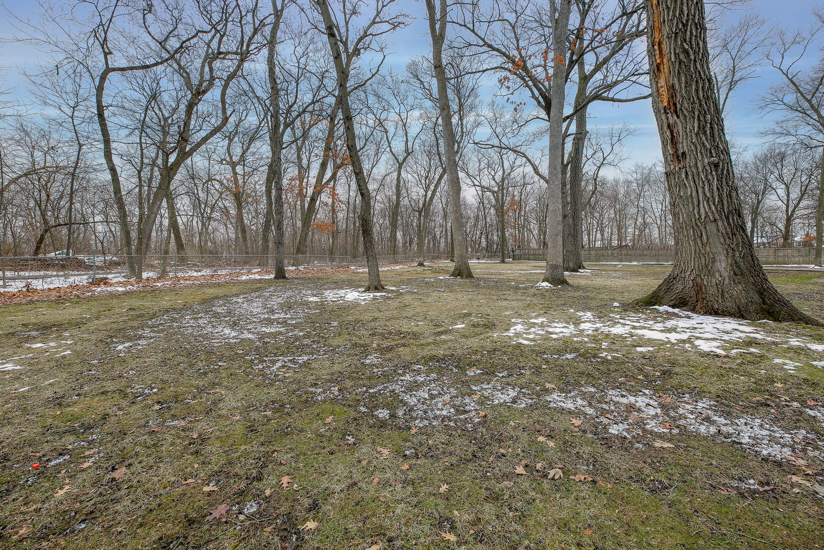 31W137 Rohrssen Road Hoffman Estates, IL 60192 - Photo 33 of 43 a backyard of a house with a large tree
