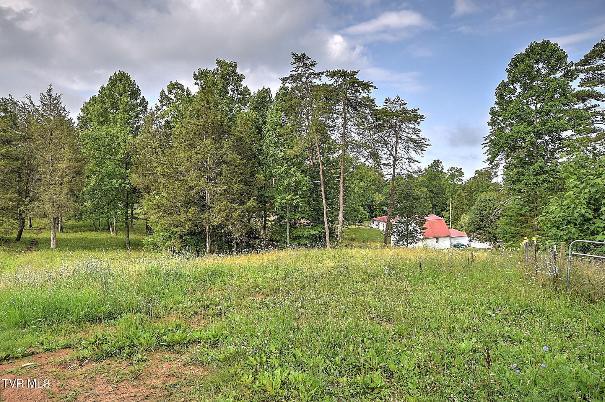 396 Summit Hill Road Bulls Gap, TN 37711 - Photo 40 of 48 40-web-or-mls-396 Summitt GF-41
