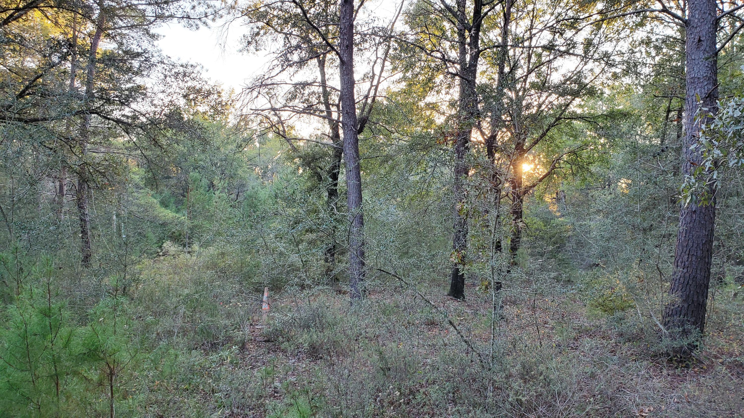 Xxx Waldo Road Crestview, FL 32539 - Photo 6 of 10 20201113_162351