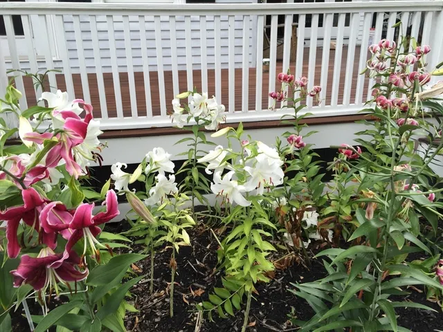 $1,985,000 | 25 Fairhaven Road, Concord, MA 01742