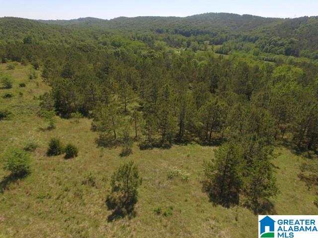 82-acres Creed Road, Unit 82 ACRES Lineville, AL 36266 - Photo 2 of 20