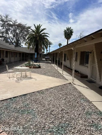 a view of a backyard space with palm trees