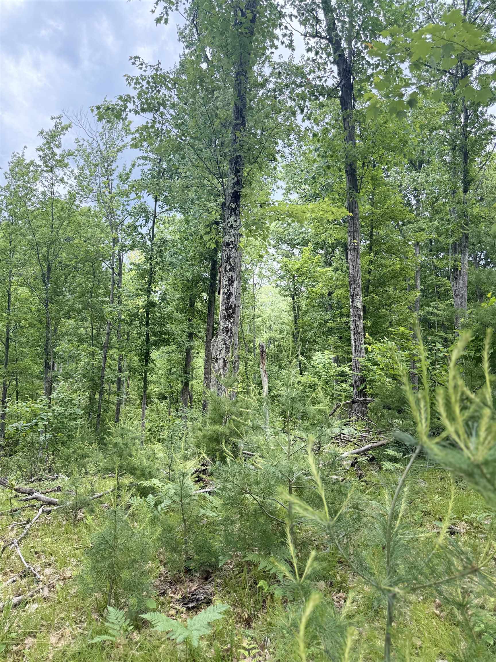 Lot 8 Rhett Lane, Unit 8 Wausaukee, WI 54177 - Photo 6 of 16