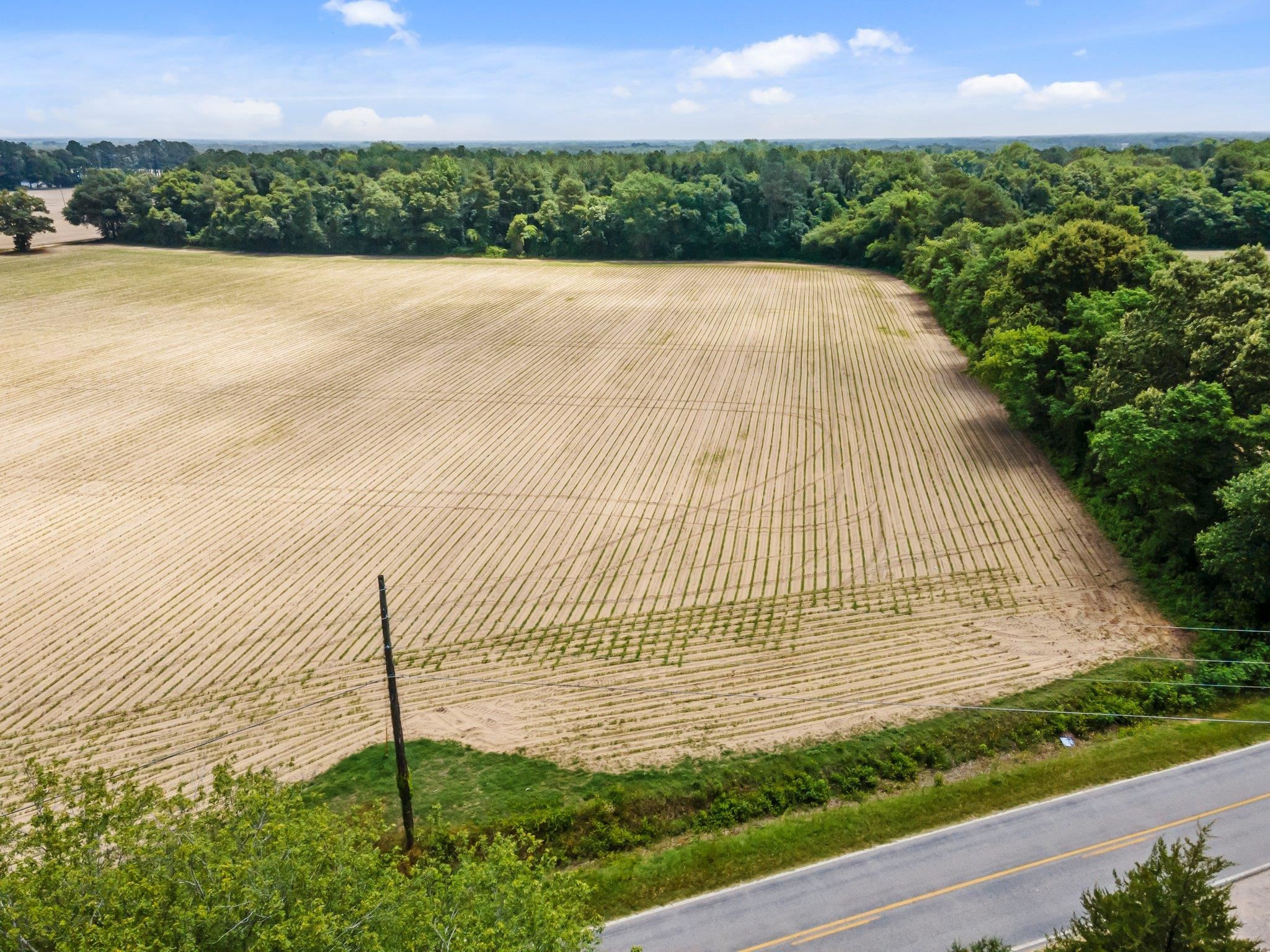 3 Pace Road Bailey, NC 27807 - Photo 2 of 10 a view of a garden with a lake