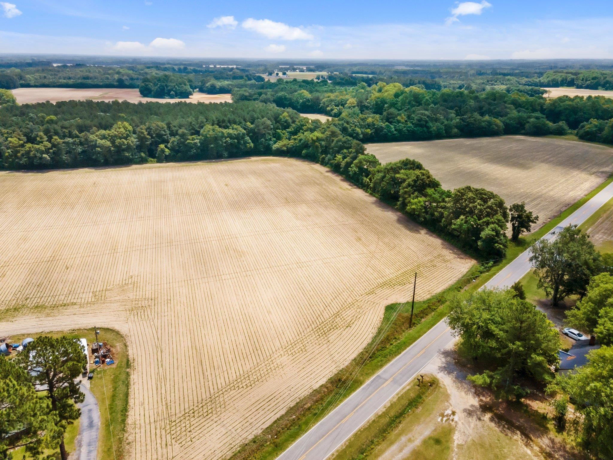 3 Pace Road Bailey, NC 27807 - Photo 4 of 10 a view of a garden with a building in the background