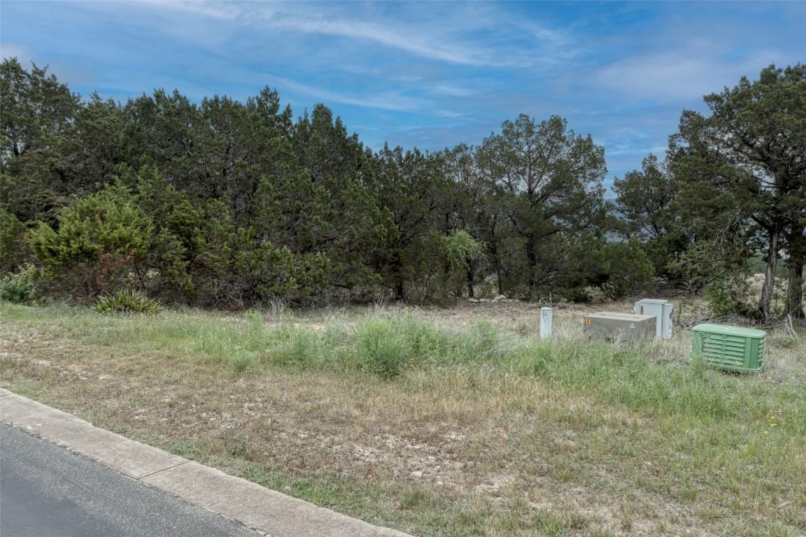 8111 Moon Rise Trail Jonestown, TX 78645 - Photo 11 of 12 a view of a lush green forest with lots of trees