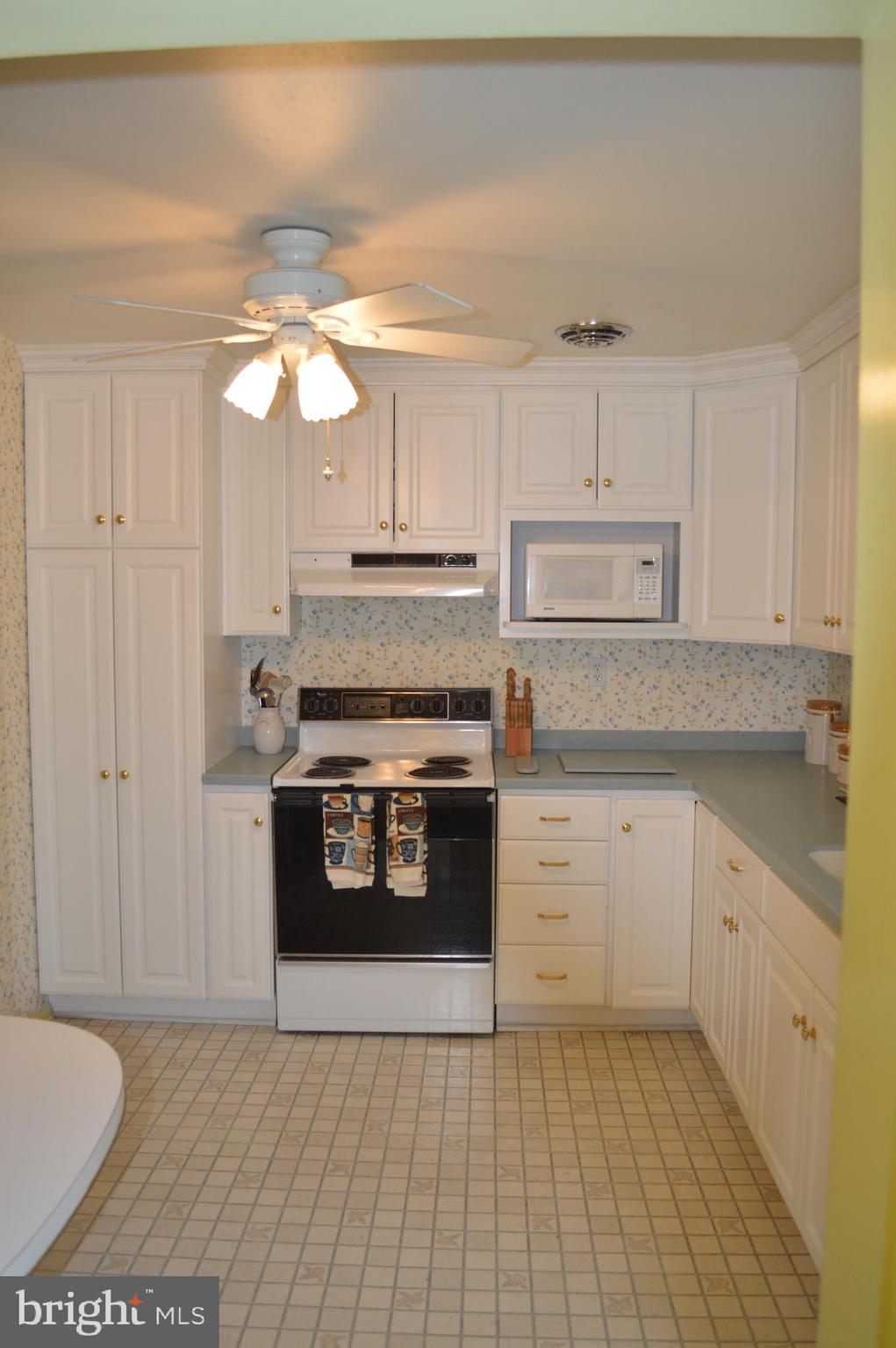 8110 Pleasant Plains Road Towson, MD 21286 - Photo 11 of 27 kitchen