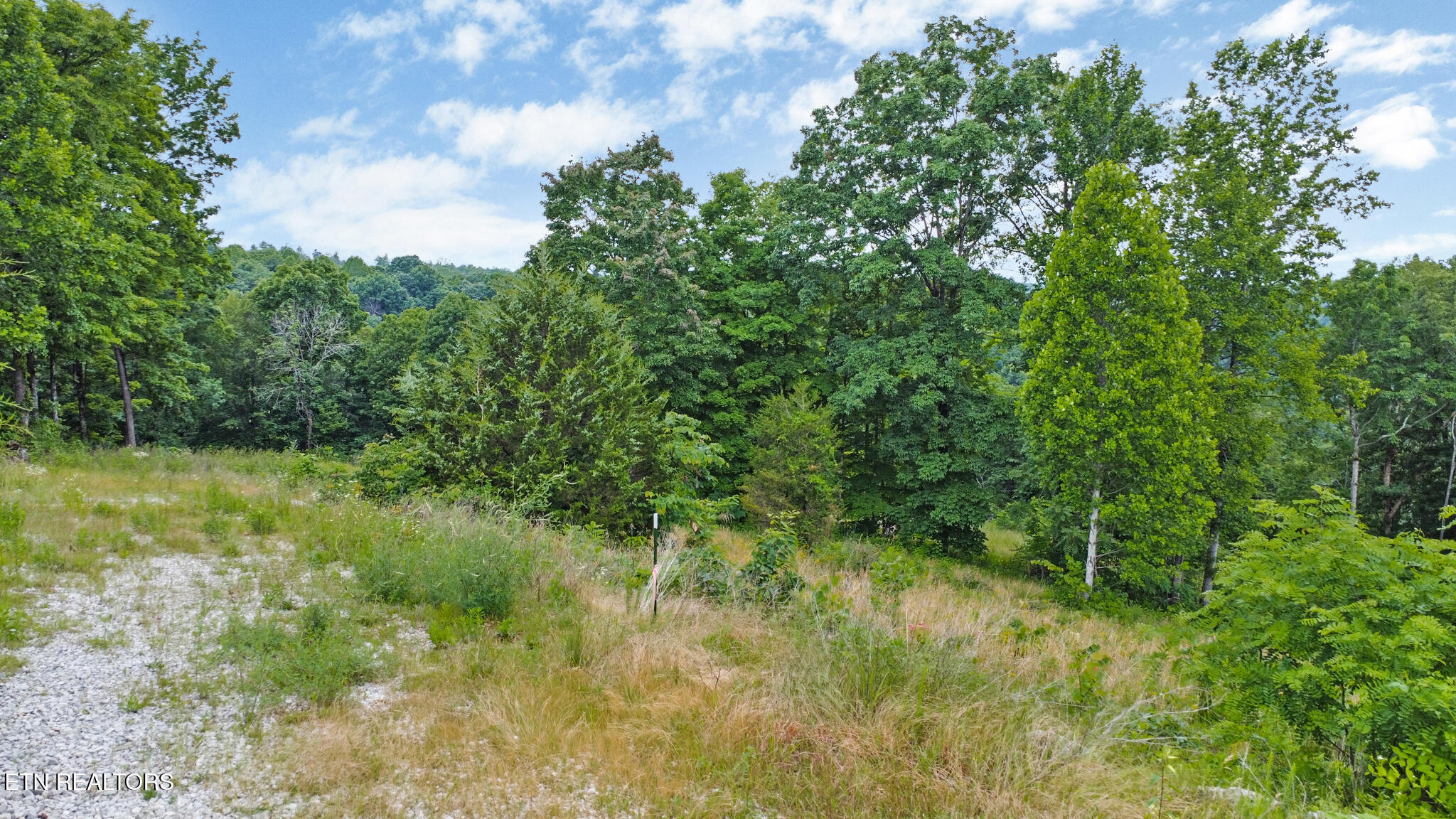 Hidden Cove Lane Allons, TN 38541 - Photo 4 of 12 dji_0966-dji_0968 (1)