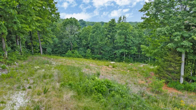 $85,000 | Hidden Cove Lane, Allons, TN 38541