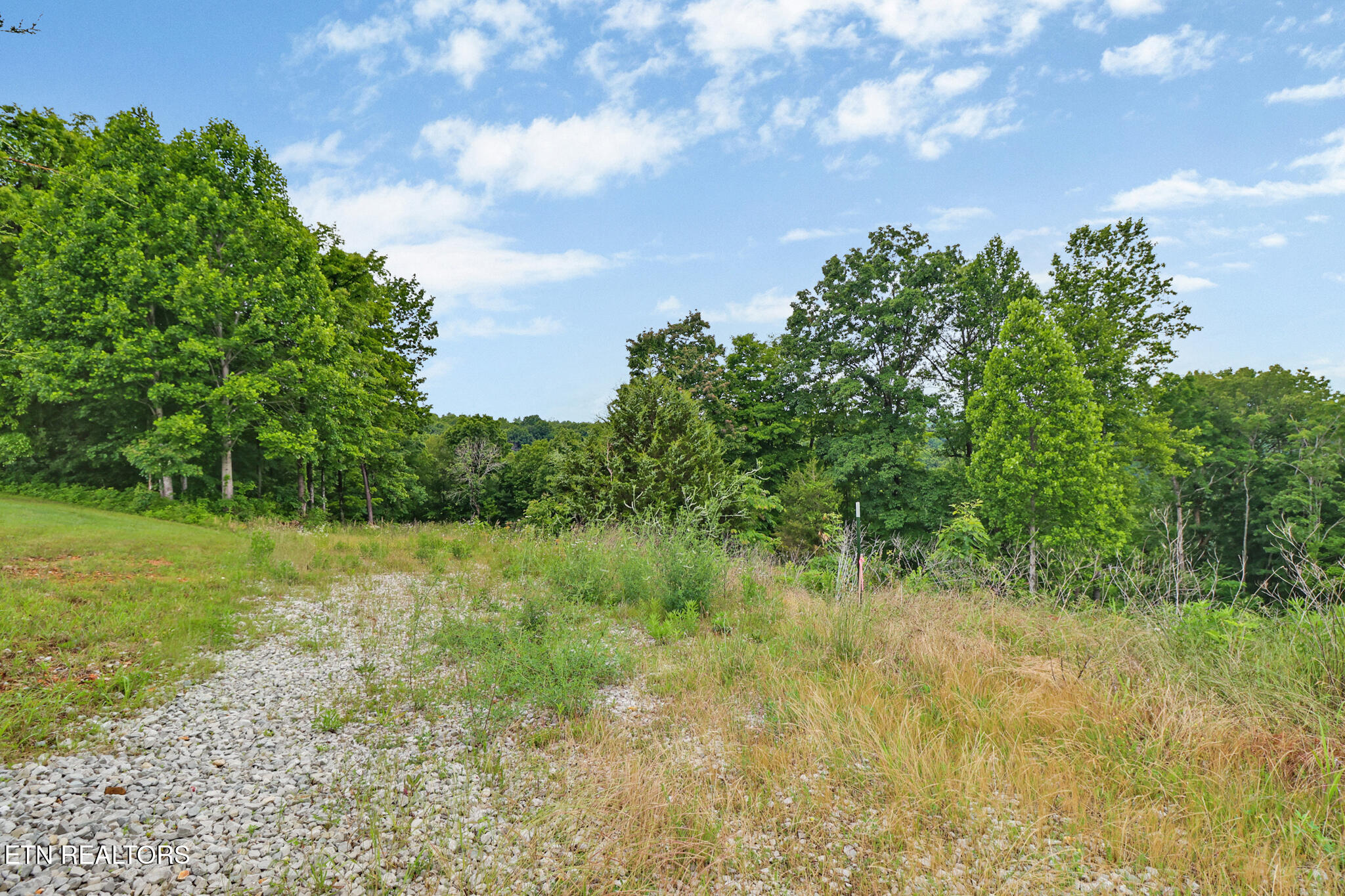 Hidden Cove Lane Allons, TN 38541 - Photo 7 of 12 if1a4607-if1a4611 (1)