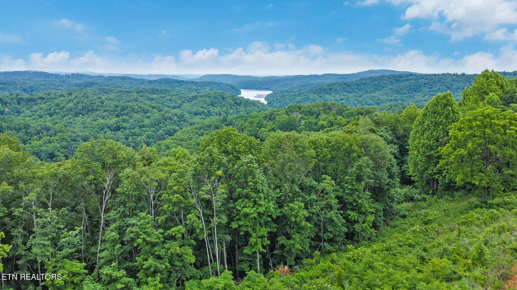 Hidden Cove Lane Allons, TN 38541 - Photo 9 of 12 dji_0972-dji_0974 (2)