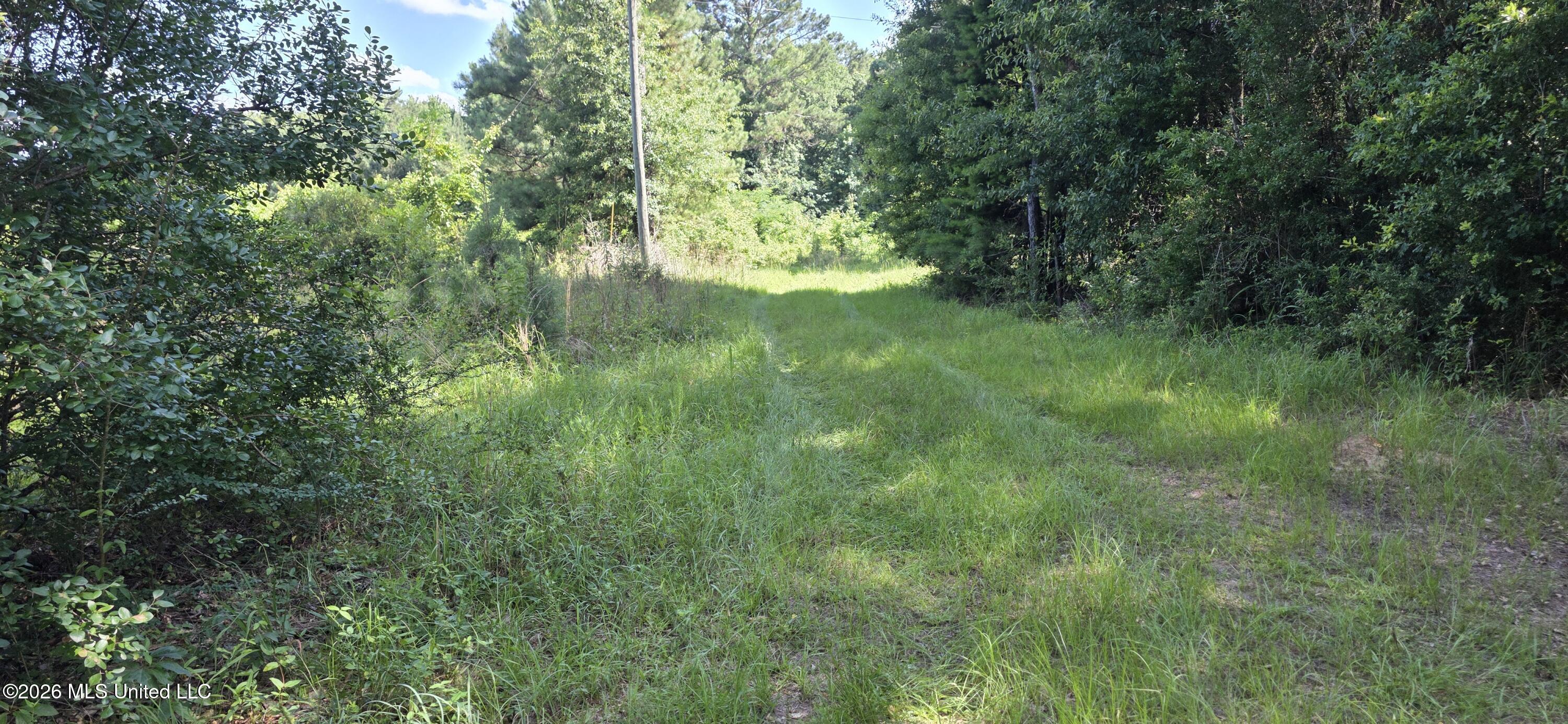 2046 Barto Leggett Road McComb, MS 39648 - Photo 23 of 29 20260623_160643