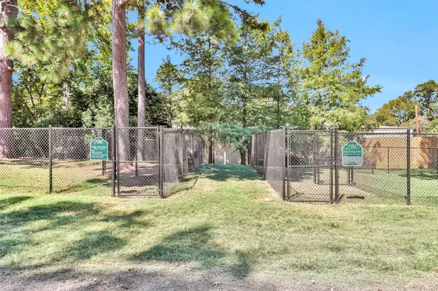 a view of a backyard with a tree