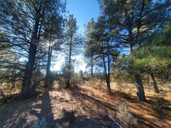 $420,000 | 0 Hwy 64 Tierra Amarilla Nm 87575, Cebolla, NM 87518