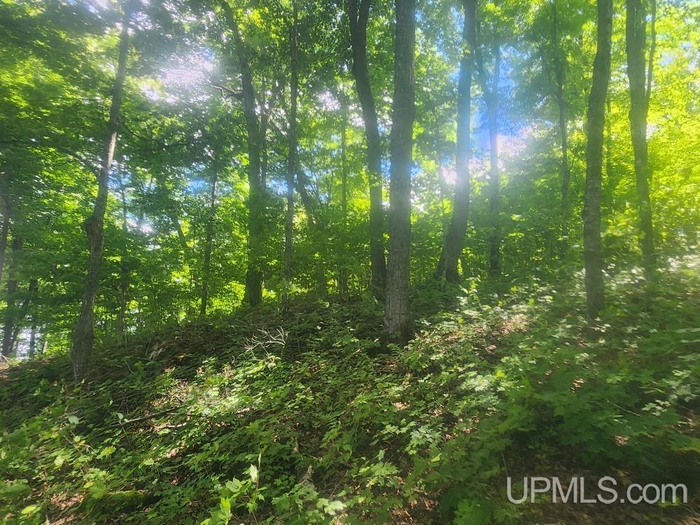 Tbd West Tamarack Lake Road, Unit LOT 5 Watersmeet, MI 49969 - Photo 24 of 66
