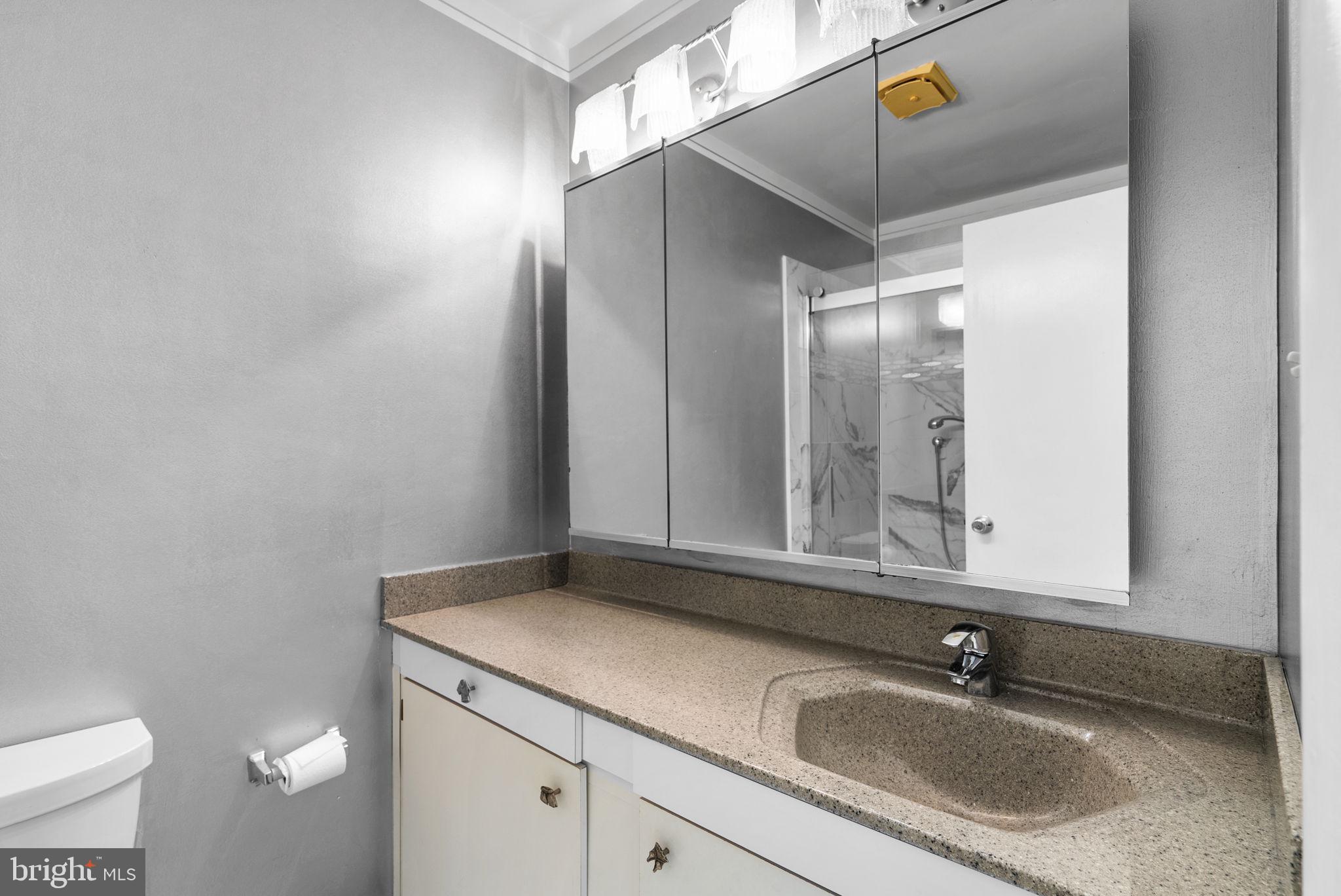 6300 Red Cedar Place, Unit 310 Baltimore, MD 21209 - Photo 23 of 28 a bathroom with a sink and a mirror