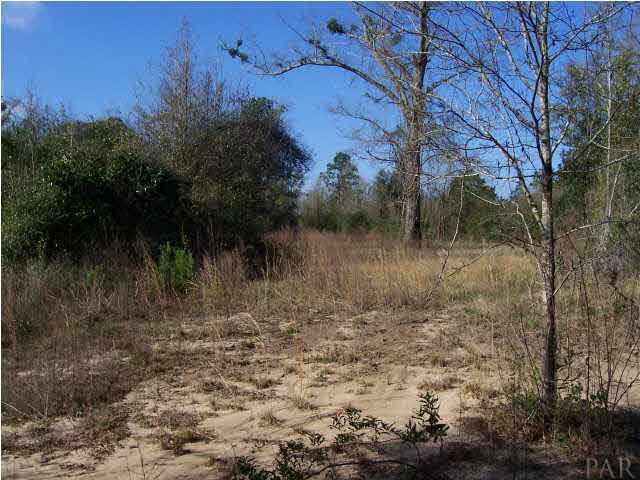 0 Stubbs Road Milton, FL 32570 - Photo 3 of 5 Gallery Image 3